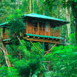 honeymoon resort in munnar