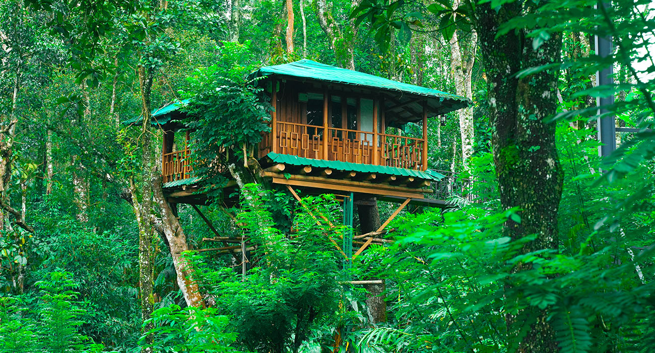 honeymoon resort in munnar