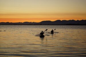 Kayaking in Kochi backwaters at Kadamakkudy with mangroves, calm canals, and guided adventure