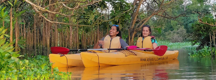 People enjoying kayaking in Kochi with Ben's Holidays through the peaceful backwaters of Kadamakudy, surrounded by lush mangroves, coconut trees, and Kerala's scenic natural beauty.