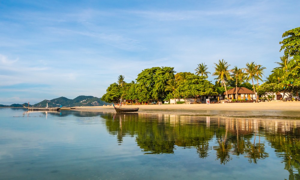 Kerala tour package with scenic hills, backwaters, and beaches