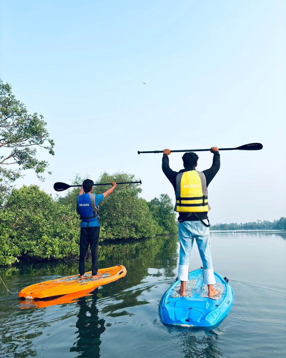 Backwater kayaking in Kadamakudy